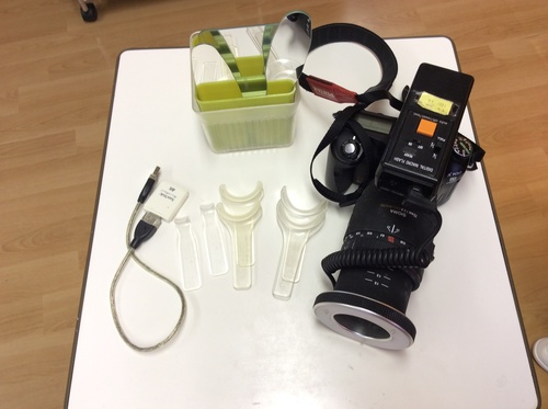 niigata_whitening_camera.jpg