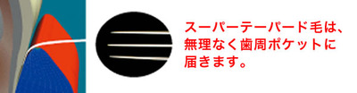 systema_1a.jpg