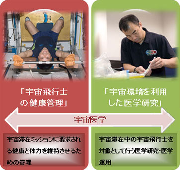 niigata_whitening_space1.jpg